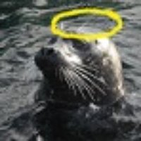 LeeTheSeal (@thesealwithin) 's Twitter Profile Photo LeeTheSeal (@thesealwithin) 's Twitter Profile Photo