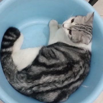 Muhamad89865526's profile picture. #kami tidak takut#kami cinta damai