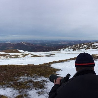 BOSbirding's profile picture. 