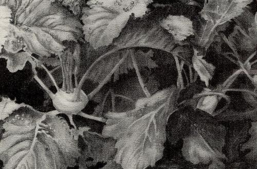 u2blender's profile picture. Artist & writer. Interests: Religion,philosophy,people helping,travel,cooking, gardening.