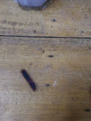 treeart03's profile picture. 