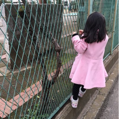 サラリーマン、3児の育児に奮闘中です。 資格を取ることが最近趣味になってます。 通訳案内士(英語)、小学校教員資格認定試験、保育士、FP2級、第一種衛生管理者、秘書検定2級、航空無線通信士取得。 2025年、社労士の試験再挑戦中。