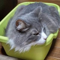 ☆ もっちー　さま　専用　☆ NACHI様 リクエスト 2点 まとめ商品
