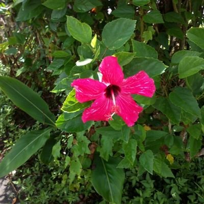 tukiyo000706's profile picture. 