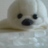きょうこんくのアイコン