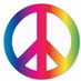 Vote In Peace (@VoteInPeace) Twitter profile photo