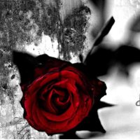 Athens (@athens_ltd) 's Twitter Profile Photo