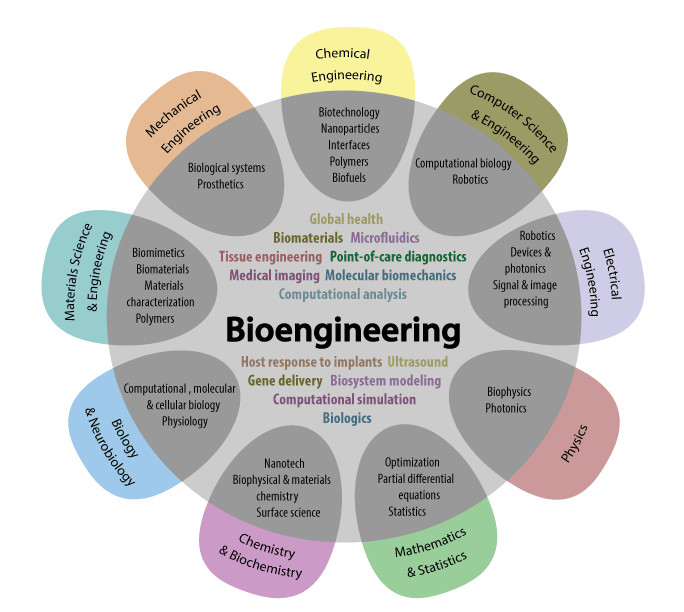 Bioengineering  is  the application  of  engineering  techniques  and  design  concept  to  medical  or biological systems.