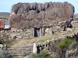 Navalosa's profile picture. 