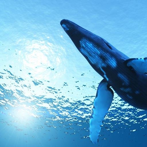 Kokey16Kokey's profile picture. 