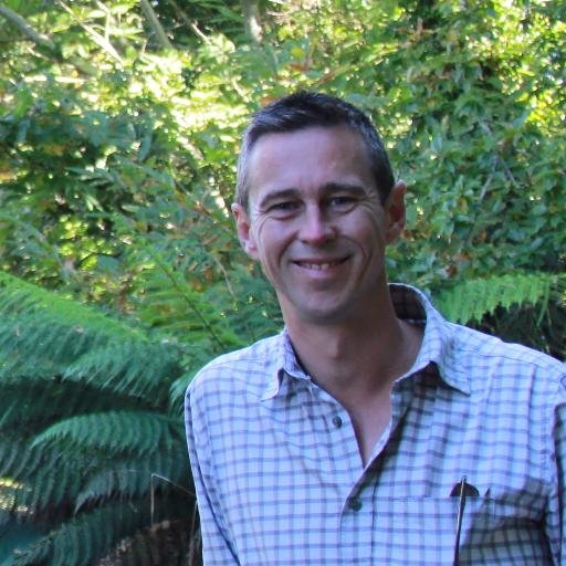 Professor and Honorary Consultant in Palliative Medicine