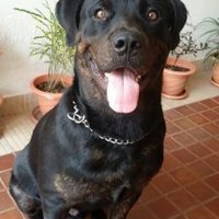 Pilotaviator (@aviatorparth) 's Twitter Profile