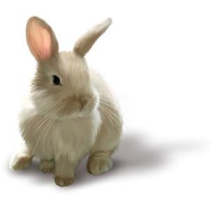 wildhare_nl's profile picture. Science Educator, Mom, Amateur Egyptologist and all around science geek.