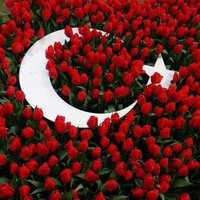 erkan salihoğlu(@GS1905341977) 's Twitter Profile Photo
