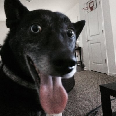 t_getson's profile picture. Senior Engineer at Red Ventures