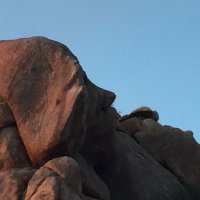 Itamar Stern (@itamarstern) 's Twitter Profile