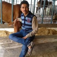 Rohit kumar (@rohitku96083676) 's Twitter Profile