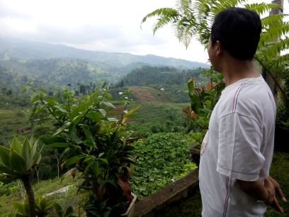 miftahmn's profile picture. 