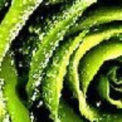 deomepathvio191's profile picture. привет всем)