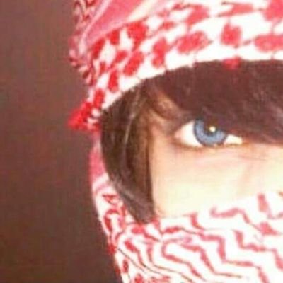 V6EDocCsNZVNVa7's profile picture. 