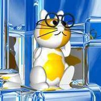 stray_cats (@stray_cats_sc) 's Twitter Profile