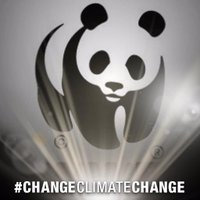 WWF Africa(@WWF_ROA) 's Twitter Profileg