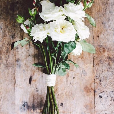 eashaibrahim24's profile picture. كيميائيه 👩🏻‍🔬 تمتلك توازناً جميلاً بين عقل محب للعلم والمعرفه وقلب ينبض بحب الأدب والشعر والحكمه