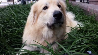 a_terzian's profile picture. 