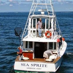 Old Saybrook, CT Charter Boat, The Sea Sprite, along with well-known Capt. Pete Wheeler, is one of the most sought after longest operating charter boats around