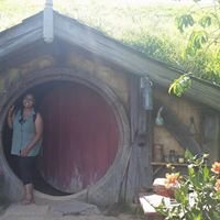 SapnaD91's profile picture. LLB, Barrister (Non-practising)