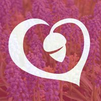 LNK Parks Foundation (@lnkparksfdn) 's Twitter Profile
