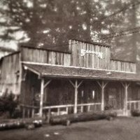 Skyline Tavern (@skytavpdx) 's Twitter Profile