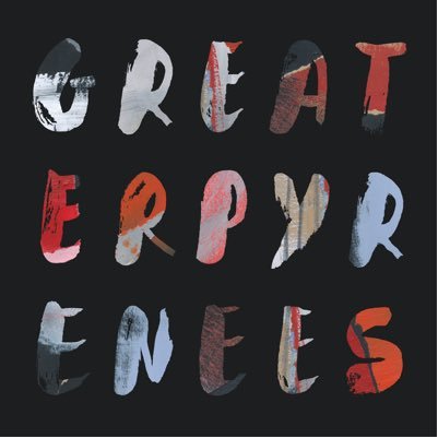 greaterpyrenees's profile picture. 