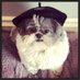 Enzo (@enzotzu) Twitter profile photo