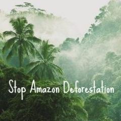 stopdeforesting's profile picture. By using #technology such as satellite imagery and cell networks, we can put an end to deforestation together. We must locate illegal sites and #stopdeforesting