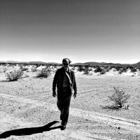 Davey Johnson (@drdavey) 's Twitter Profile