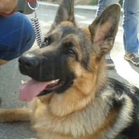 LeifVro's profile picture. 