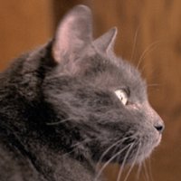 Bob Lillevold (@jbineagan) 's Twitter Profile