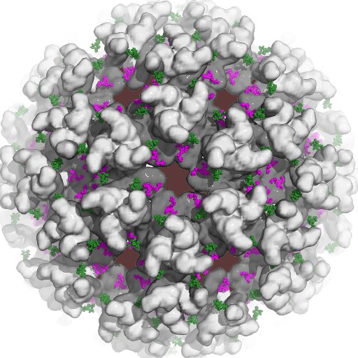 Glycobiology.UK Profile