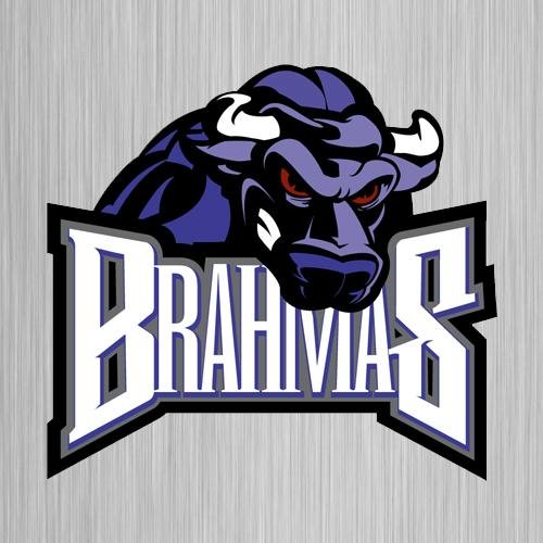 TXBrahmas Profile Picture