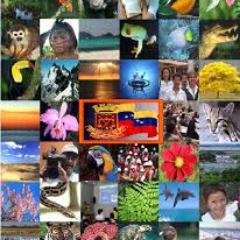 ROSENDAPEREZ1's profile picture. 