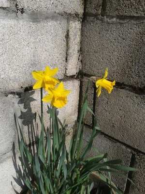 Madhatter153's profile picture. Life begins at the end of your comfort zone!