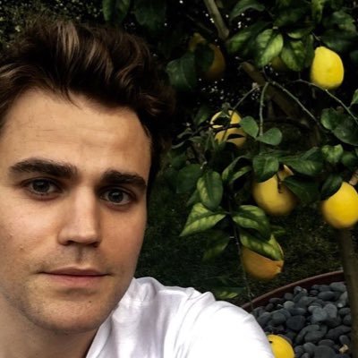 stefanrpgaft's profile picture. 