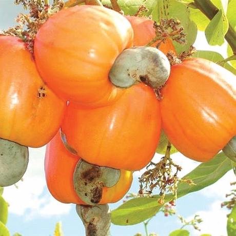 pepitacorazon's profile picture. amante de las cosas buenas!!!!