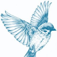 CVNI Ireland (@cvniireland) 's Twitter Profile Photo CVNI Ireland (@cvniireland) 's Twitter Profile Photo