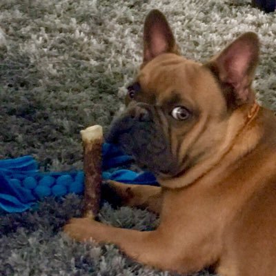 vLouFini's profile picture. 