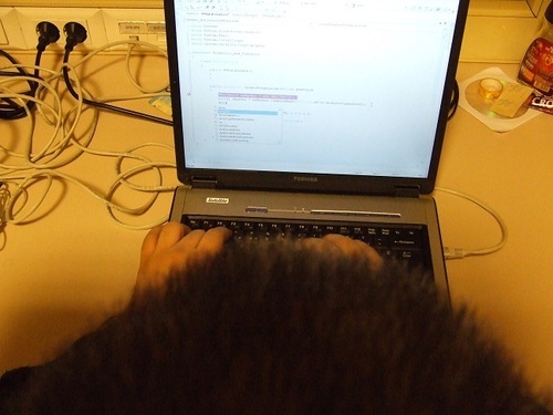 ismailfatih's profile picture. 