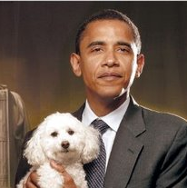 ObamaDogAdopt's profile picture. Shelter dogs are mutts like me