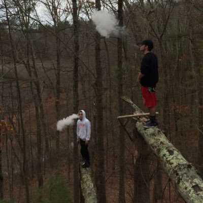 plantamura17's profile picture. tritown