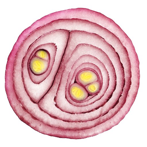 HungryOnionBOS's profile picture. We're a brand new discussion forum for the food-obsessed in Boston! Join our knowledgeable community. Discover, share restaurant and cooking tips!